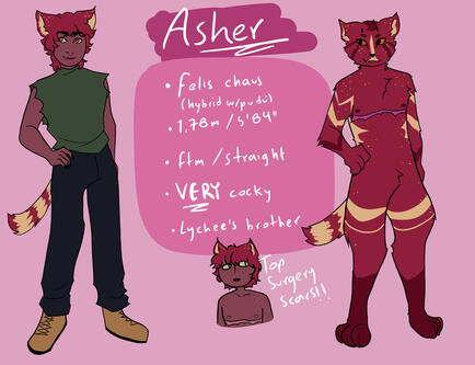 asher ref asher ref